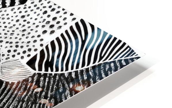 2317003 :: HD Sublimation Metal Print