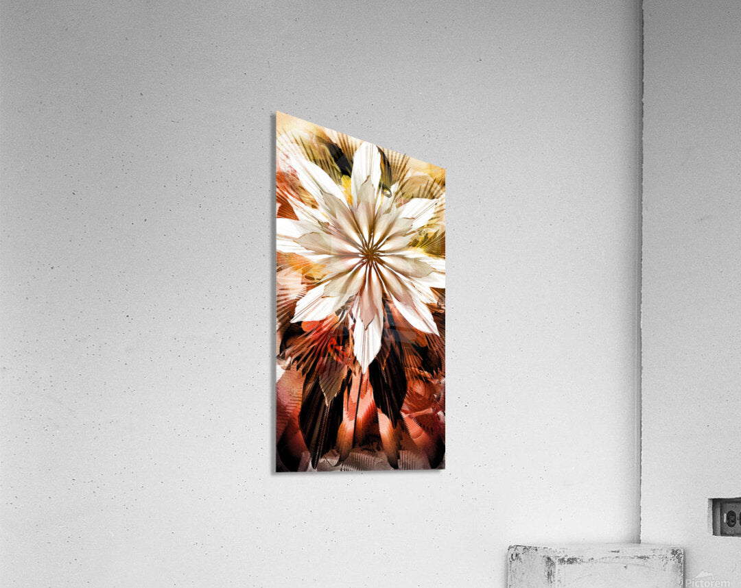 2312227 :: Acrylic Print