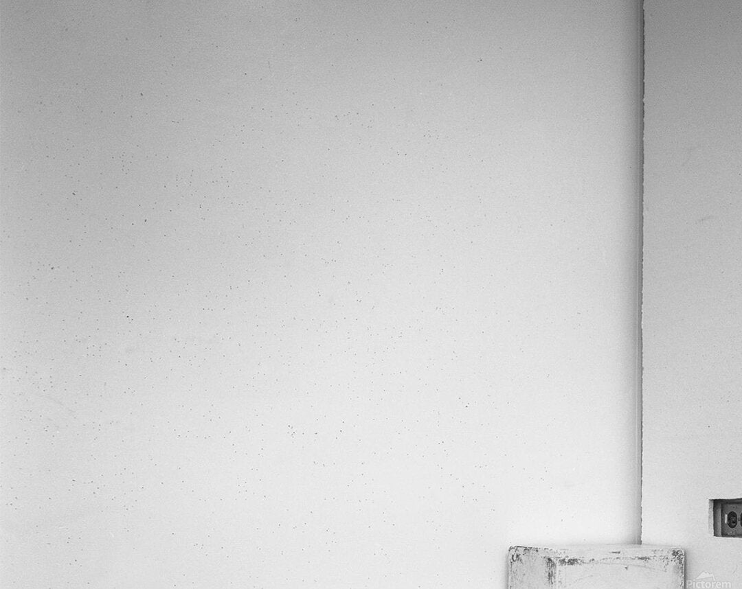 2362528 :: Acrylic Print