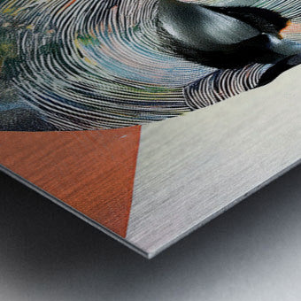2313555 :: Brushed Metal Print