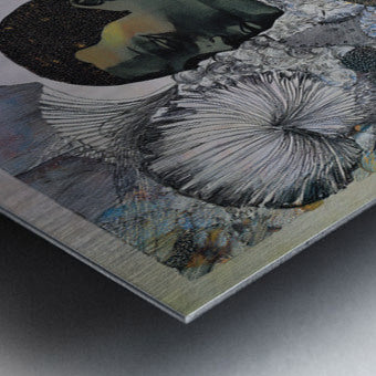 2362579 :: Brushed Metal Print