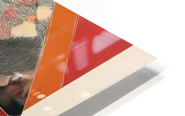 2313558 :: HD Sublimation Metal Print