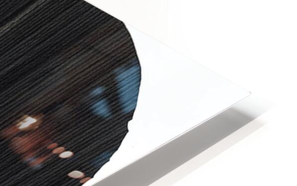 2316998 :: HD Sublimation Metal Print