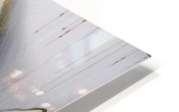 2317006 :: HD Sublimation Metal Print