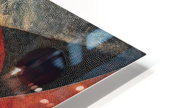 2317124 :: HD Sublimation Metal Print